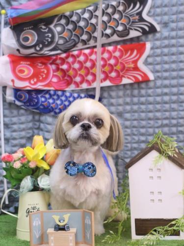 20230514ちょびくん